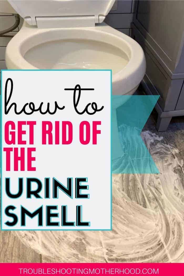 How to get the urine smell out of your clean bathroom PIN.