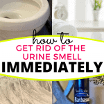 how to get rid of the urine smell in your bathroom