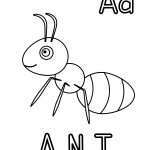 Letter A Coloring Page with ANT