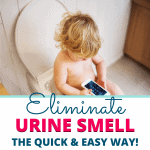 How to get the urine smell out of your bathroom