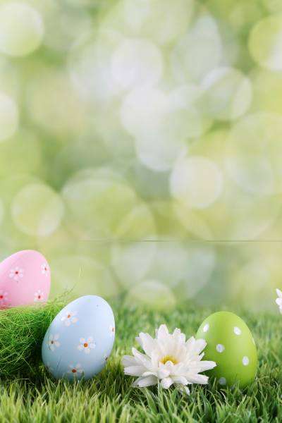 grass and easter eggs.