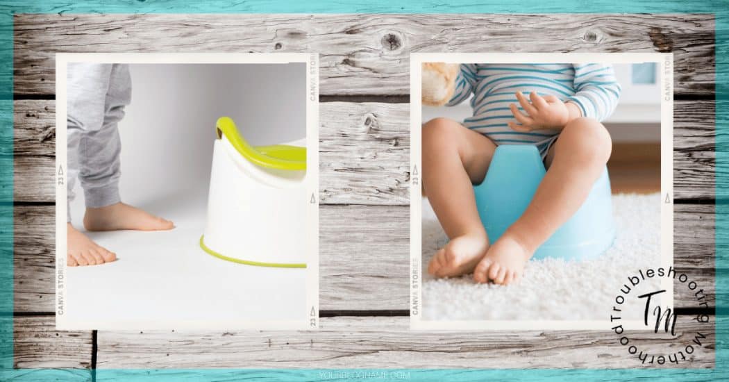 2 different types of potty training chairs for toddlers.