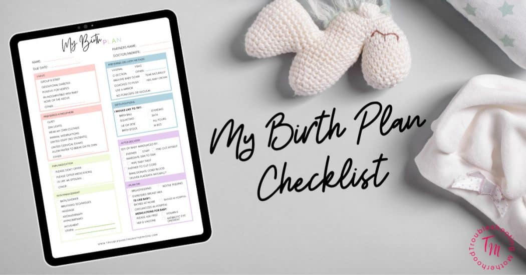 Preview of a simple birth plan checklist showing sections for labor preferences, comfort measures, delivery choices, and postpartum planning.