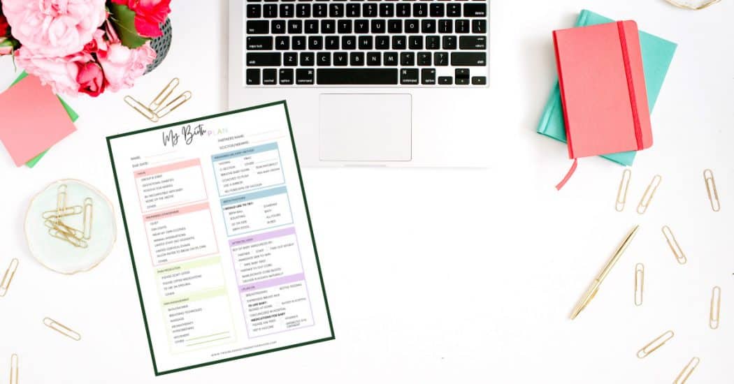 My Birth Plan Checklist Blog Image of the Template download.