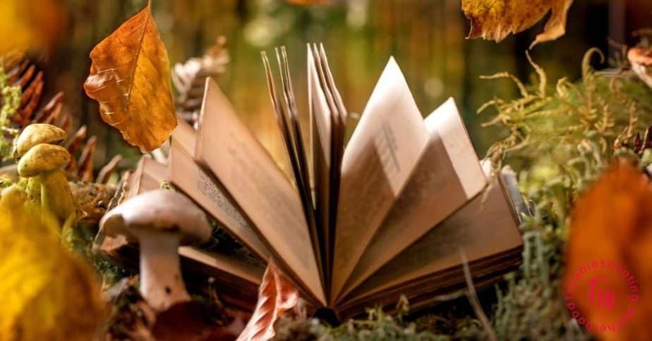 BEST FAIRY TALE BOOKS FOR KINDERGARTEN